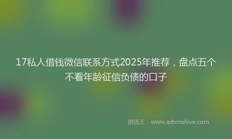 17私人借钱微信联系方式2025年推荐，盘点五个不看年龄征信负债的口子