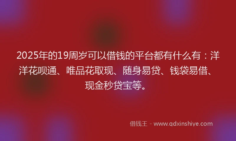 2025年的19周岁可以借钱的平台都有什么有：洋洋花呗通、唯品花取现、随身易贷、钱袋易借、现金秒贷宝等。
