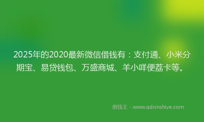 2025年的2020最新微信借钱有：支付通、小米分期宝、易贷钱包、万盛商城、羊小咩便荔卡等。