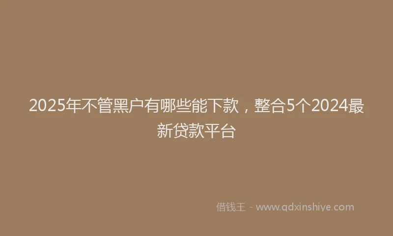 2025年不管黑户有哪些能下款，整合5个2024最新贷款平台