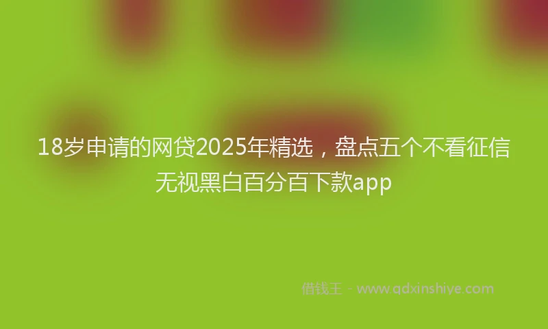 18岁申请的网贷2025年精选，盘点五个不看征信无视黑白百分百下款app