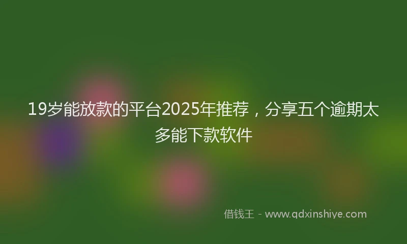 19岁能放款的平台2025年推荐，分享五个逾期太多能下款软件