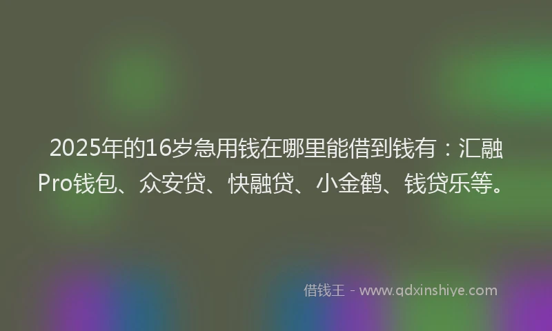 2025年的16岁急用钱在哪里能借到钱有：汇融Pro钱包、众安贷、快融贷、小金鹤、钱贷乐等。