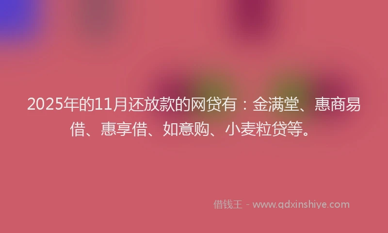 2025年的11月还放款的网贷有：金满堂、惠商易借、惠享借、如意购、小麦粒贷等。