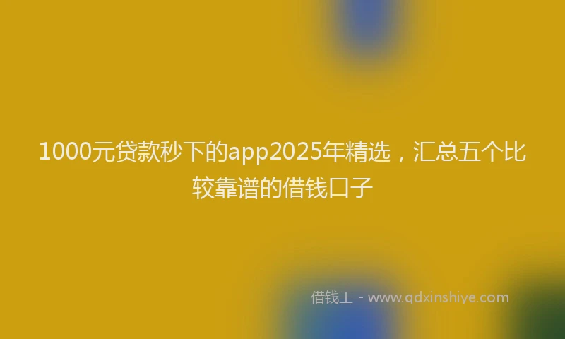 1000元贷款秒下的app2025年精选，汇总五个比较靠谱的借钱口子