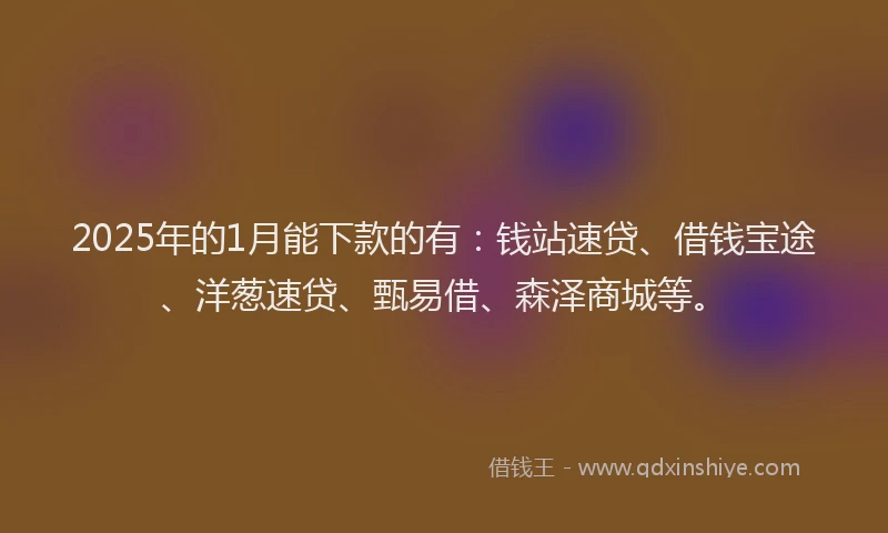 2025年的1月能下款的有：钱站速贷、借钱宝途、洋葱速贷、甄易借、森泽商城等。