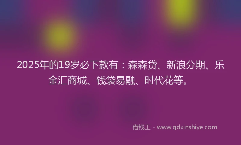 2025年的19岁必下款有：森森贷、新浪分期、乐金汇商城、钱袋易融、时代花等。
