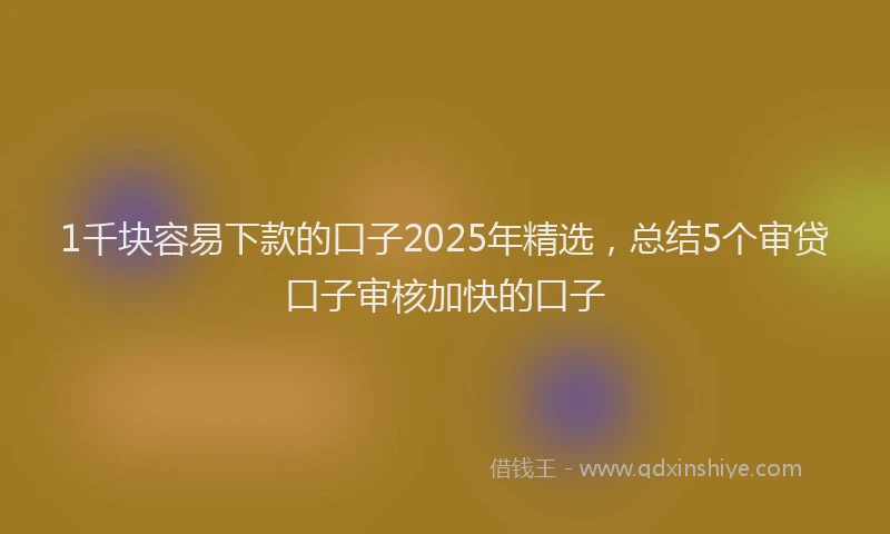 1千块容易下款的口子2025年精选，总结5个审贷口子审核加快的口子