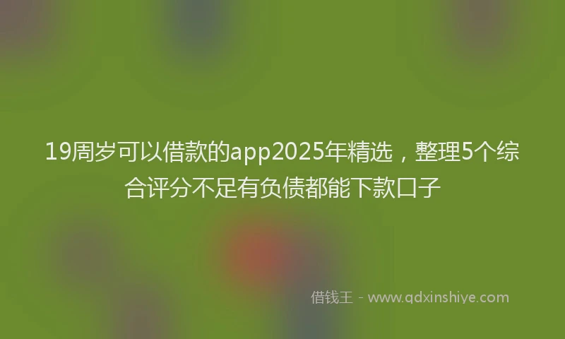 19周岁可以借款的app2025年精选，整理5个综合评分不足有负债都能下款口子