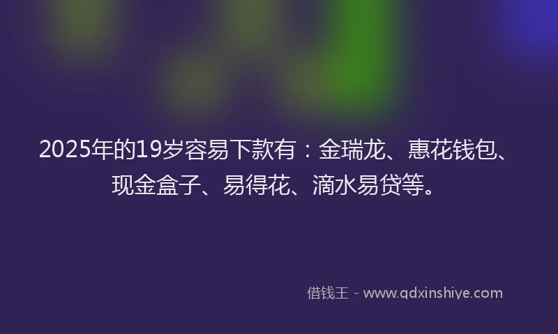 2025年的19岁容易下款有：金瑞龙、惠花钱包、现金盒子、易得花、滴水易贷等。