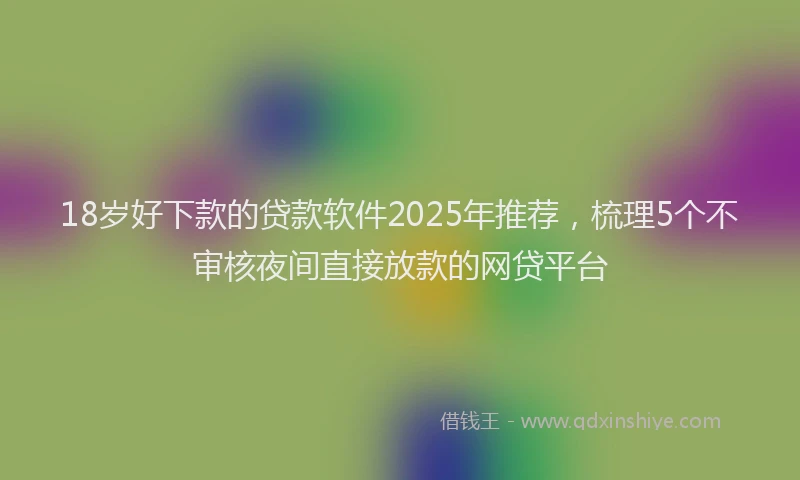 18岁好下款的贷款软件2025年推荐，梳理5个不审核夜间直接放款的网贷平台