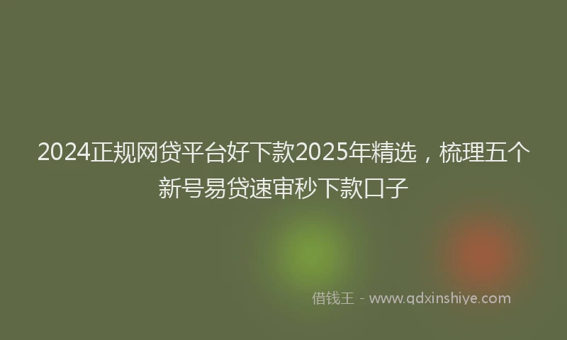 2024正规网贷平台好下款2025年精选，梳理五个新号易贷速审秒下款口子