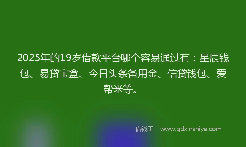 2025年的19岁借款平台哪个容易通过有：星辰钱包、易贷宝盒、今日头条备用金、信贷钱包、爱帮米等。