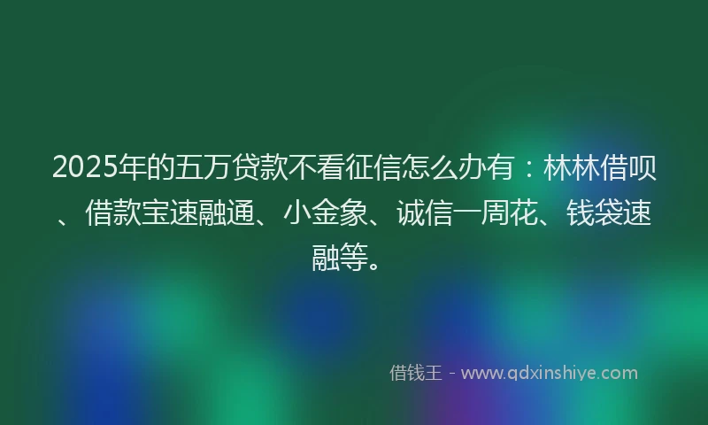 2025年的五万贷款不看征信怎么办有：林林借呗、借款宝速融通、小金象、诚信一周花、钱袋速融等。