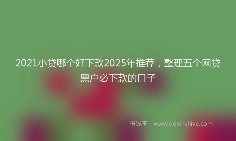 2021小贷哪个好下款2025年推荐，整理五个网贷黑户必下款的口子