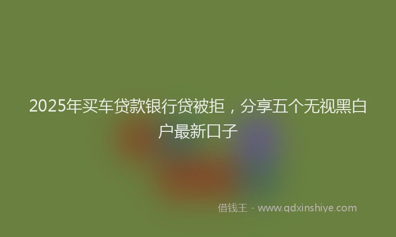 2025年买车贷款银行贷被拒，分享五个无视黑白户最新口子