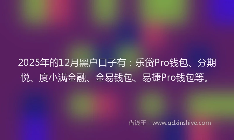 2025年的12月黑户口子有：乐贷Pro钱包、分期悦、度小满金融、金易钱包、易捷Pro钱包等。