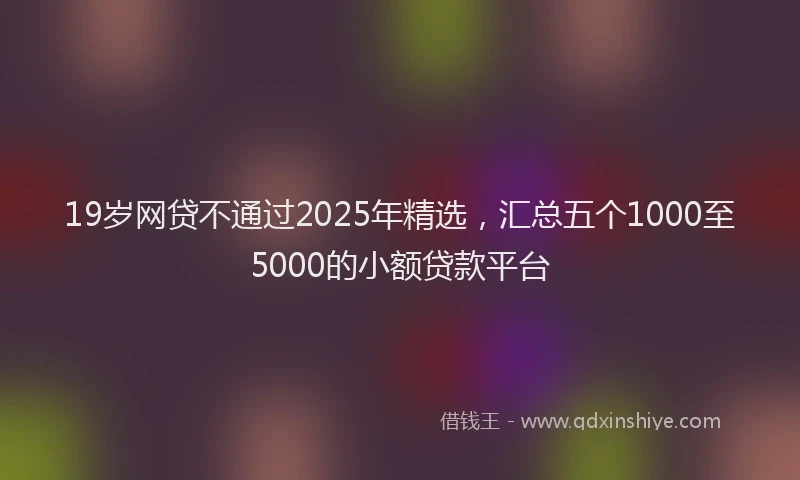 19岁网贷不通过2025年精选，汇总五个1000至5000的小额贷款平台