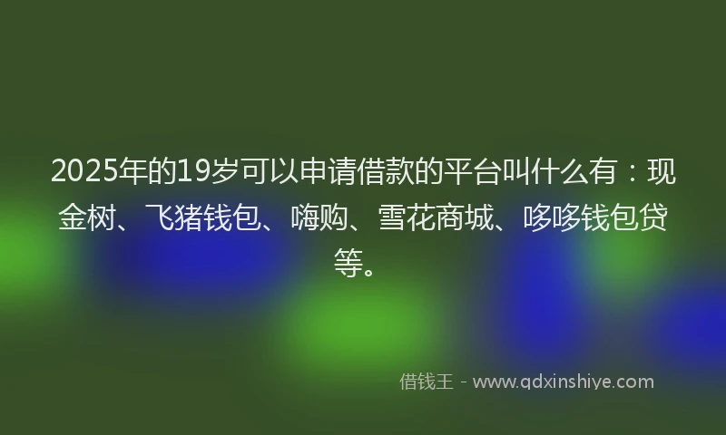 2025年的19岁可以申请借款的平台叫什么有：现金树、飞猪钱包、嗨购、雪花商城、哆哆钱包贷等。