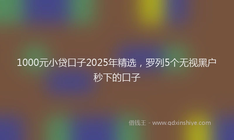 1000元小贷口子2025年精选，罗列5个无视黑户秒下的口子