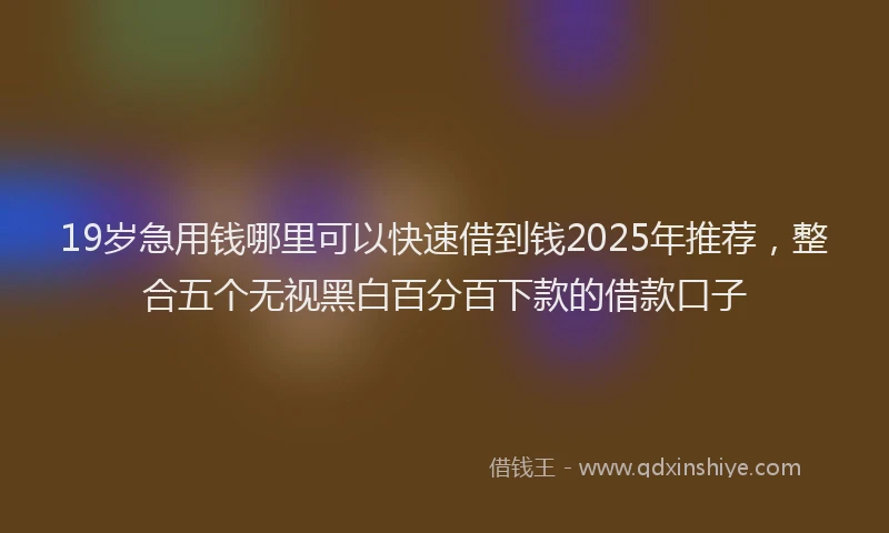 19岁急用钱哪里可以快速借到钱2025年推荐，整合五个无视黑白百分百下款的借款口子