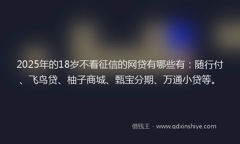 2025年的18岁不看征信的网贷有哪些有：随行付、飞鸟贷、柚子商城、甄宝分期、万通小贷等。