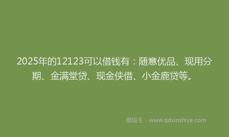 2025年的12123可以借钱有：随意优品、现用分期、金满堂贷、现金侠借、小金鹿贷等。
