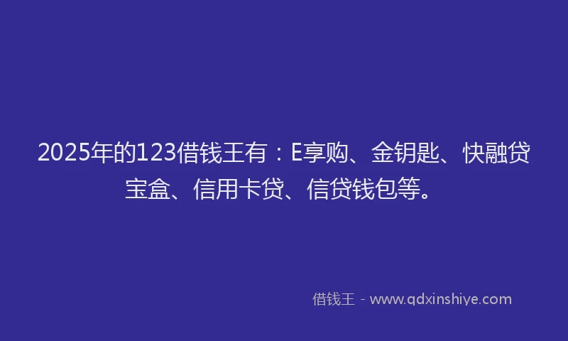 2025年的123借钱王有：E享购、金钥匙、快融贷宝盒、信用卡贷、信贷钱包等。