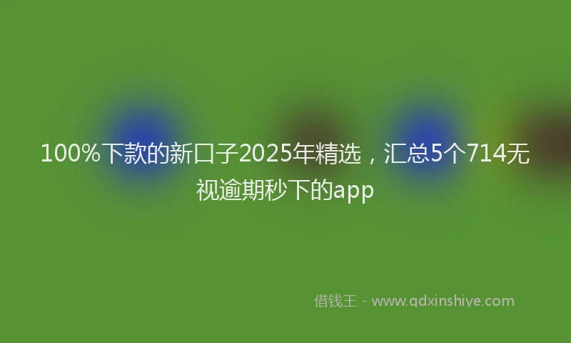 100%下款的新口子2025年精选，汇总5个714无视逾期秒下的app
