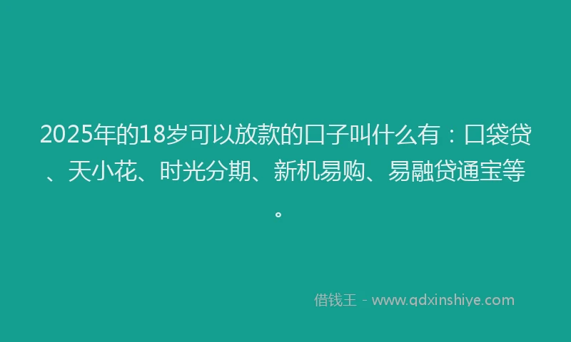 2025年的18岁可以放款的口子叫什么有：口袋贷、天小花、时光分期、新机易购、易融贷通宝等。