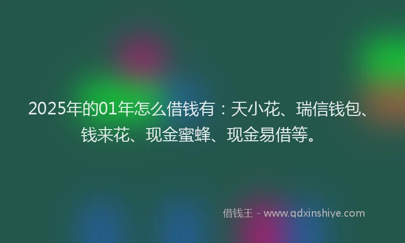 2025年的01年怎么借钱有：天小花、瑞信钱包、钱来花、现金蜜蜂、现金易借等。