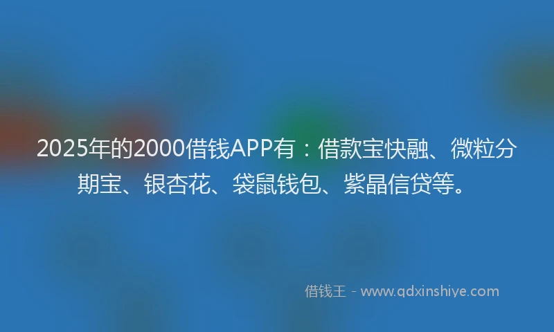 2025年的2000借钱APP有：借款宝快融、微粒分期宝、银杏花、袋鼠钱包、紫晶信贷等。