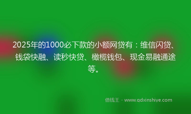 2025年的1000必下款的小额网贷有：维信闪贷、钱袋快融、读秒快贷、橄榄钱包、现金易融通途等。