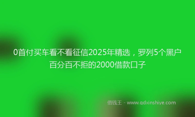0首付买车看不看征信2025年精选，罗列5个黑户百分百不拒的2000借款口子