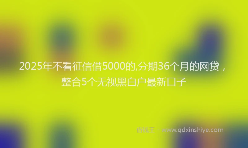 2025年不看征信借5000的,分期36个月的网贷，整合5个无视黑白户最新口子