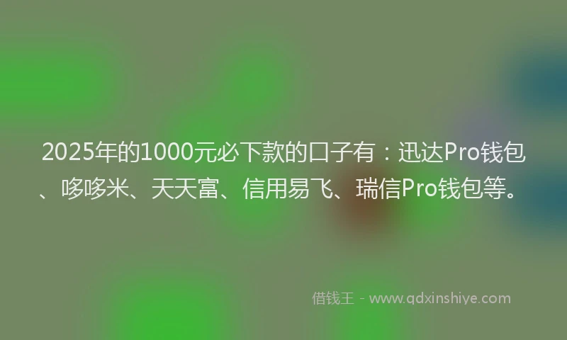 2025年的1000元必下款的口子有：迅达Pro钱包、哆哆米、天天富、信用易飞、瑞信Pro钱包等。