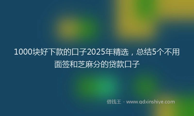 1000块好下款的口子2025年精选，总结5个不用面签和芝麻分的贷款口子