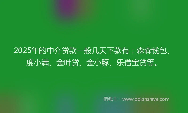 2025年的中介贷款一般几天下款有：森森钱包、度小满、金叶贷、金小豚、乐借宝贷等。