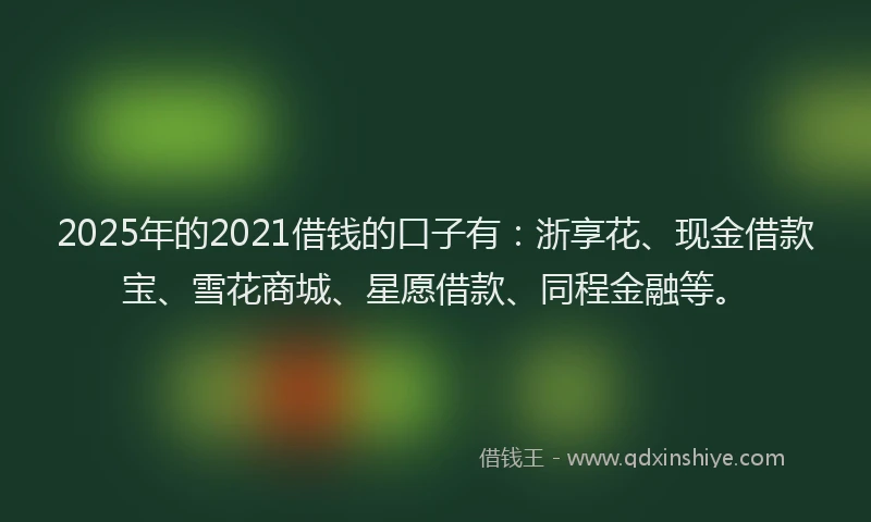 2025年的2021借钱的口子有：浙享花、现金借款宝、雪花商城、星愿借款、同程金融等。