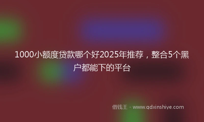 1000小额度贷款哪个好2025年推荐，整合5个黑户都能下的平台