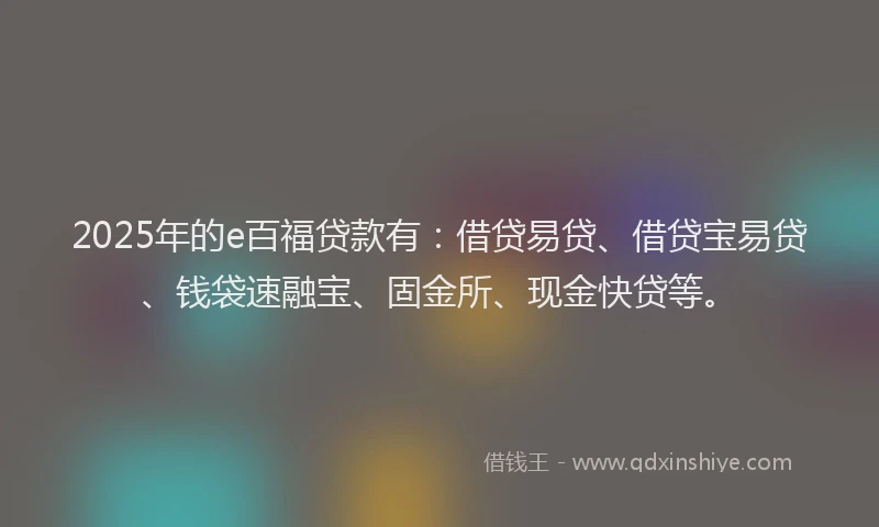 2025年的e百福贷款有：借贷易贷、借贷宝易贷、钱袋速融宝、固金所、现金快贷等。