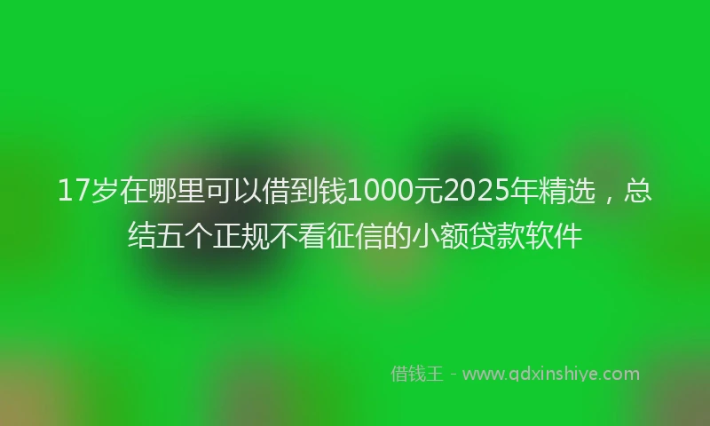 17岁在哪里可以借到钱1000元2025年精选，总结五个正规不看征信的小额贷款软件