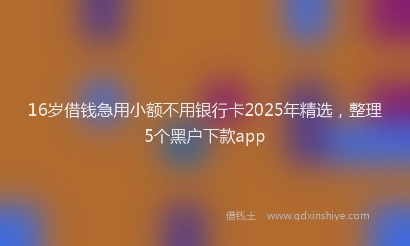 16岁借钱急用小额不用银行卡2025年精选，整理5个黑户下款app