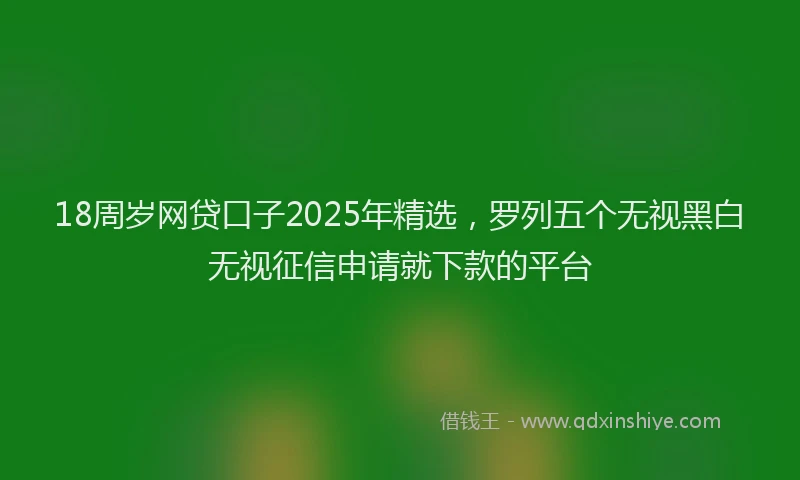 18周岁网贷口子2025年精选，罗列五个无视黑白无视征信申请就下款的平台