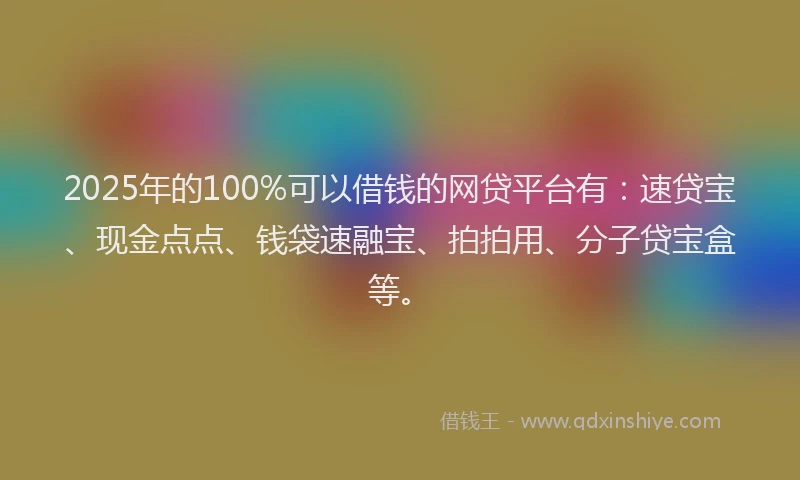 2025年的100%可以借钱的网贷平台有：速贷宝、现金点点、钱袋速融宝、拍拍用、分子贷宝盒等。