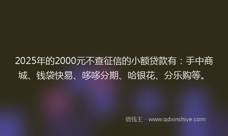2025年的2000元不查征信的小额贷款有：手中商城、钱袋快易、哆哆分期、哈银花、分乐购等。