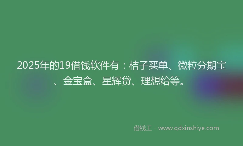 2025年的19借钱软件有：桔子买单、微粒分期宝、金宝盒、星辉贷、理想给等。