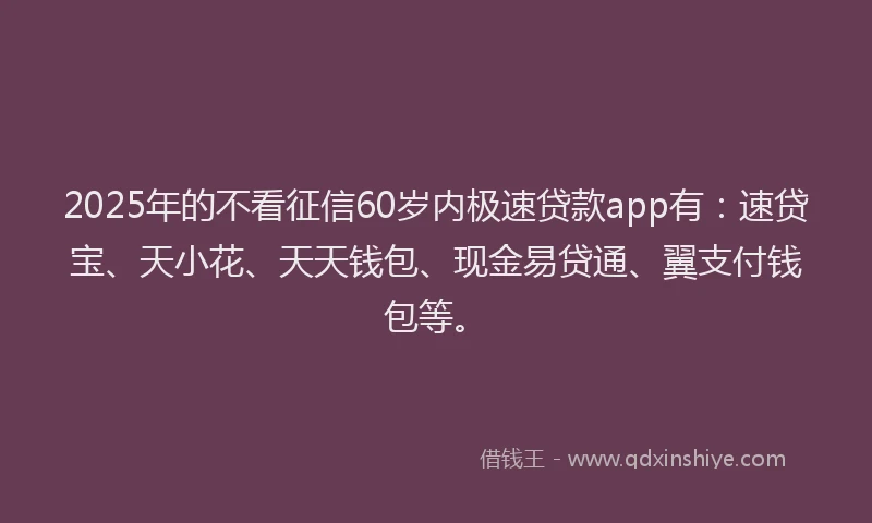 2025年的不看征信60岁内极速贷款app有：速贷宝、天小花、天天钱包、现金易贷通、翼支付钱包等。