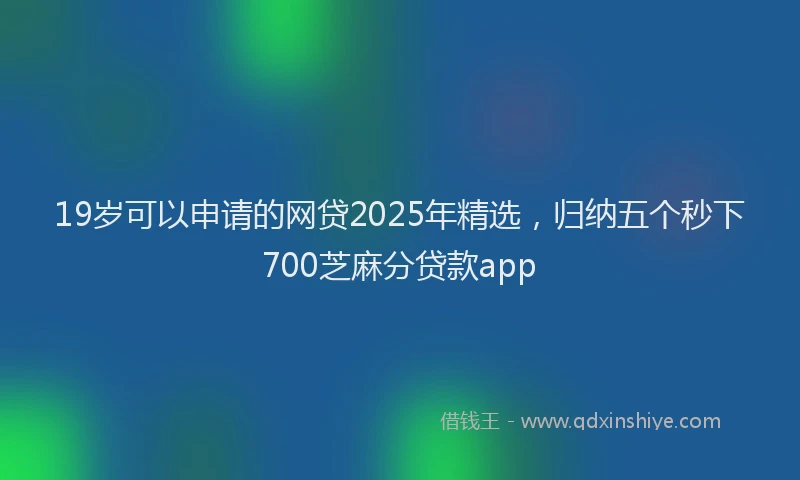 19岁可以申请的网贷2025年精选，归纳五个秒下700芝麻分贷款app