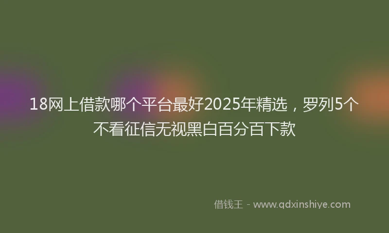 18网上借款哪个平台最好2025年精选，罗列5个不看征信无视黑白百分百下款